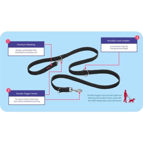 Company Of Animals Halti Training Dog Lead - Image 7