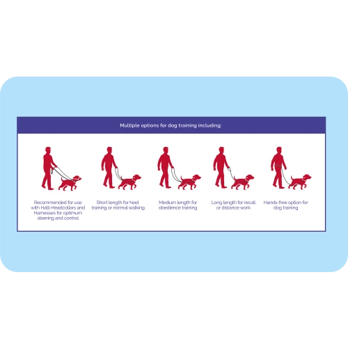 Company Of Animals Halti Training Dog Lead - Image 8