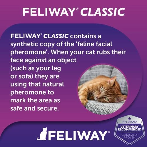 Feliway Classic Cat Calming Diffuser & Refill Starter Pack - Image 3