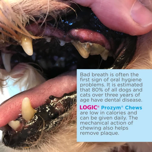 Logic Prozym Dental Chews - Image 4