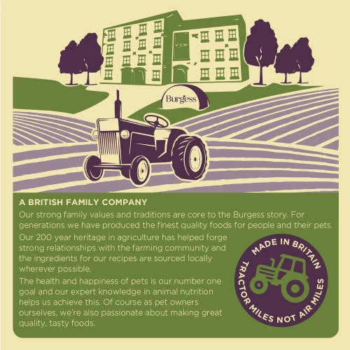 Burgess Excel Feeding Hay Dried Fresh Grass - Image 2