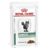 Royal Canin Veterinary Diets Diabetic Wet Cat Food