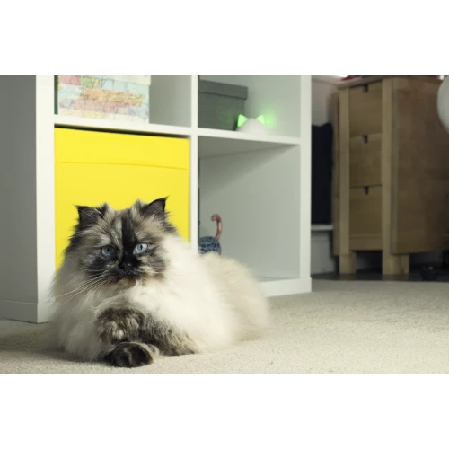 Sure Petcare Connecting Hub - Image 3