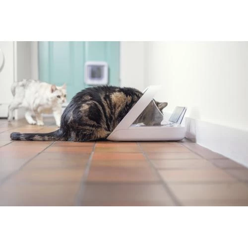 Sure Petcare SureFeed Microchip Pet Feeder Connect With Bowls Mat & RFID Tag - Image 4