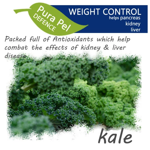 Green Pantry White Fish With Kale & Dandelion Dry Dog Food - Image 4