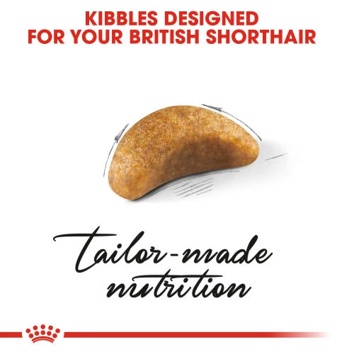 Royal Canin British Shorthair Kitten Dry Cat Food - Image 6