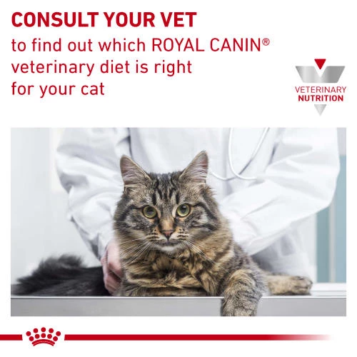 Royal Canin Veterinary Diets Sensitivity Control Dry Adult Cat Food - Image 4