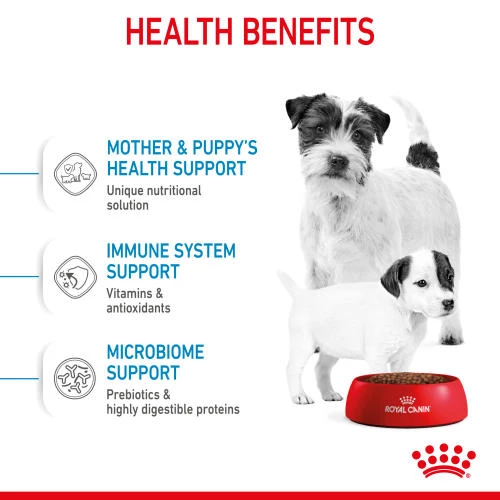 Royal Canin Mini Starter Mother & Babydog Dry Adult And Puppy Food - Image 2
