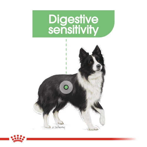 Royal Canin Medium Digestive Care Adult Dry Dog Food - Image 2