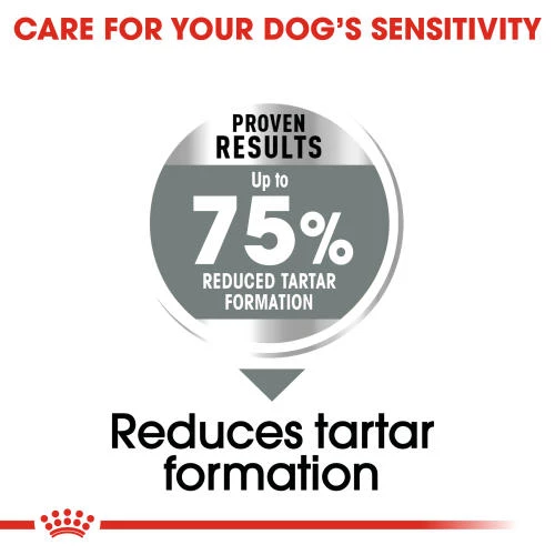 Royal Canin Maxi Dental Care Adult Dry Dog Food - Image 4