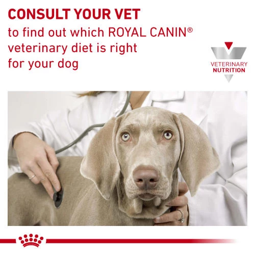 Royal Canin Veterinary Diets Skin Care Dry Adult Dog Food - Image 6