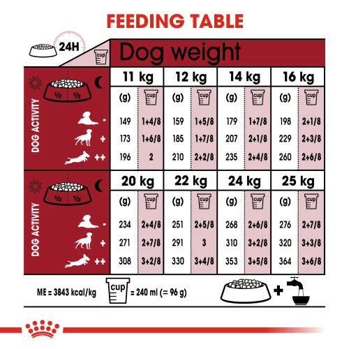 Royal Canin Medium Adult Dry Dog Food - Image 4