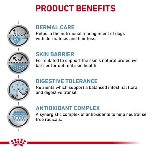 Royal Canin Veterinary Diets Skin Care Dry Adult Dog Food - Image 3