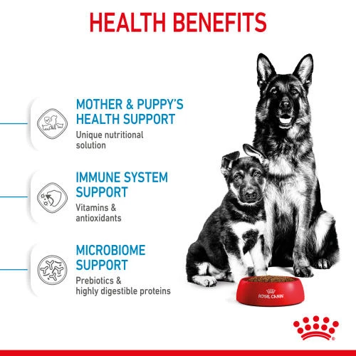 Royal Canin Maxi Starter Mother & Babydog Adult And Puppy Dog Food - Image 6