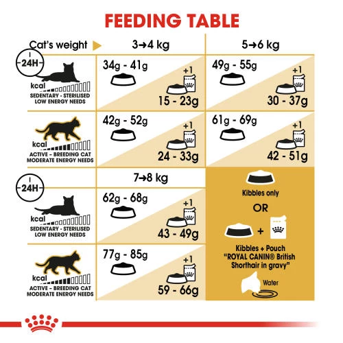 Royal Canin British Shorthair Adult Dry Cat Food - Image 3