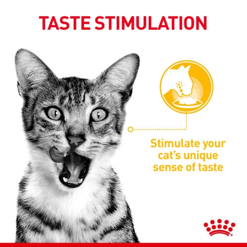 Royal Canin Sensory Taste In Jelly Wet Adult Cat Food - Image 6
