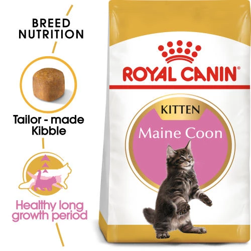 Royal Canin Maine Coon Dry Kitten Cat Food - Image 2