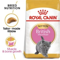 Royal Canin British Shorthair Kitten Dry Cat Food