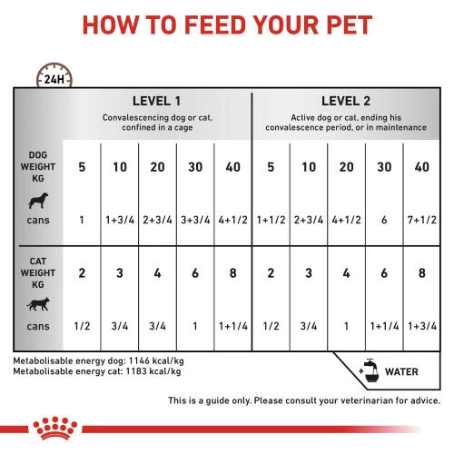 Royal Canin Veterinary Diets Feline & Canine Recovery Mousse Wet Food - Image 3