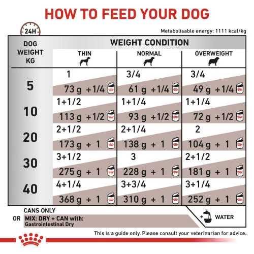 Royal Canin Veterinary Diets Gastrointestinal Dog Food - Image 3