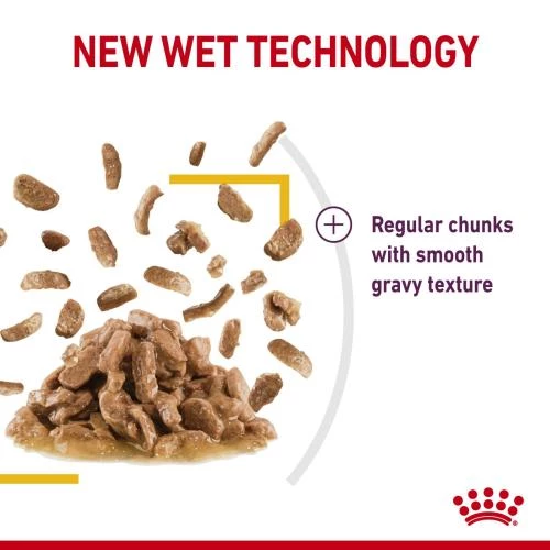 Royal Canin Sensory Taste In Gravy Wet Adult Cat Food - Image 3