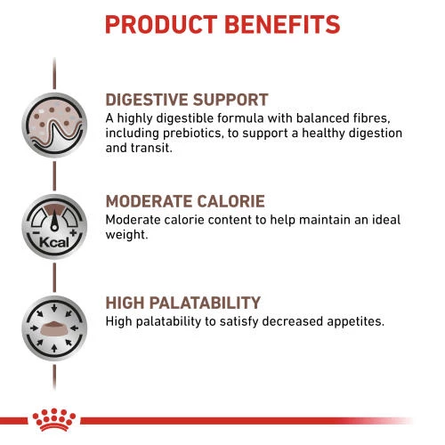 Royal Canin Veterinary Diets Gastrointestinal Moderate Calorie Dry Adult Cat Food - Image 4