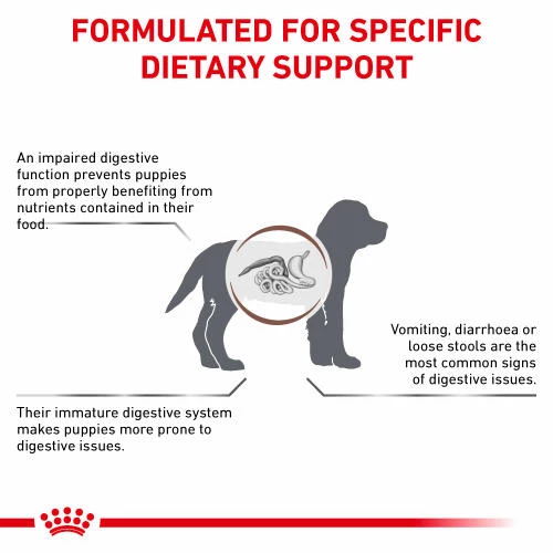 Royal Canin Veterinary Diets Gastrointestinal Dry Puppy Food - Image 4