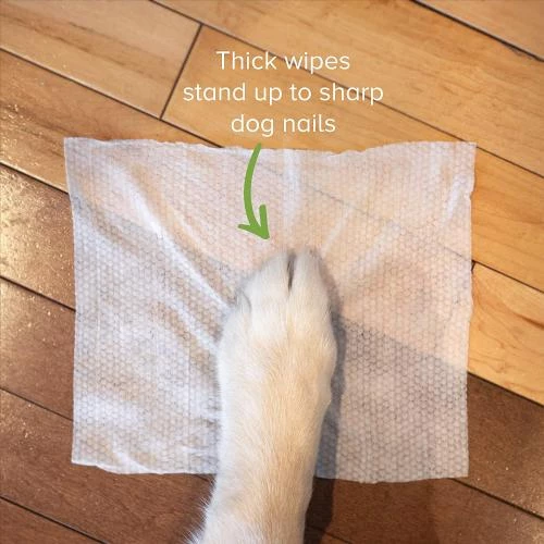 Earth Rated Unscented Compostable Dog Wipes - Image 6