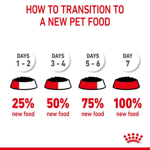 Royal Canin Maxi Wet Puppy Food Pouches In Gravy - Image 4