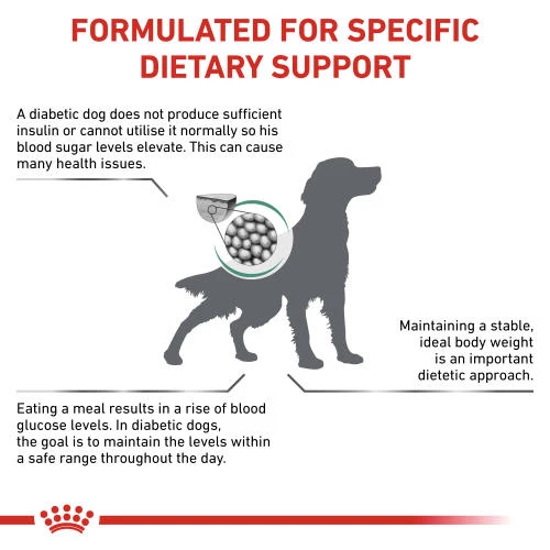 Royal Canin Veterinary Diets Diabetic Dry Adult Dog Food - Image 2