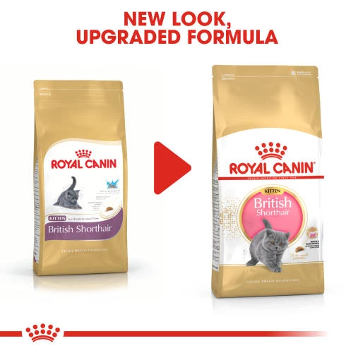 Royal Canin British Shorthair Kitten Dry Cat Food - Image 3