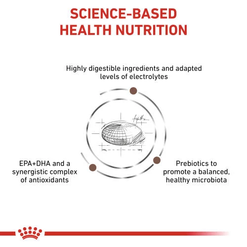 Royal Canin Veterinary Diets Gastrointestinal Moderate Calorie Dry Adult Cat Food - Image 3