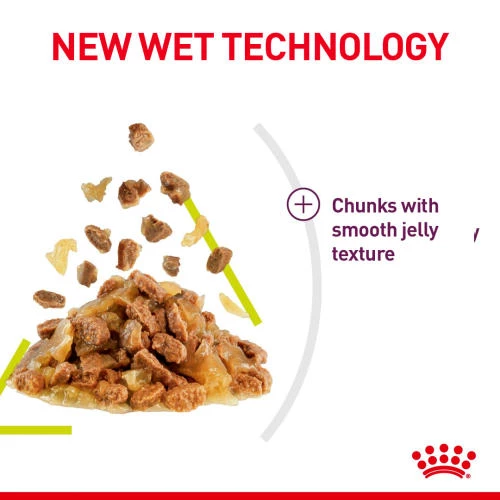 Royal Canin Sensory Taste In Jelly Wet Adult Cat Food - Image 3