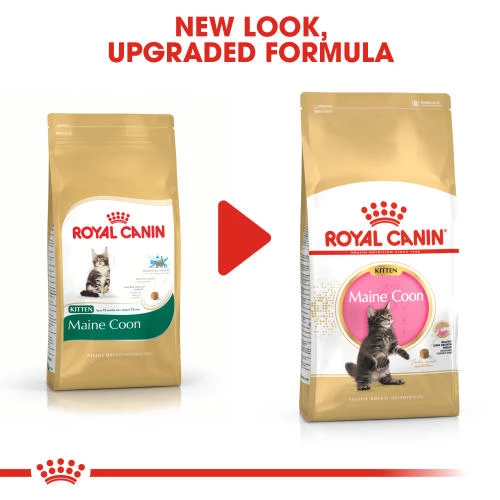 Royal Canin Maine Coon Dry Kitten Cat Food - Image 3