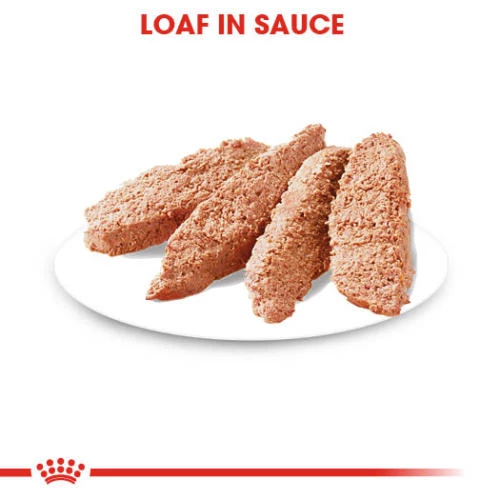 Royal Canin Dermacomfort Wet Adult Dog Food Pouches - Image 4