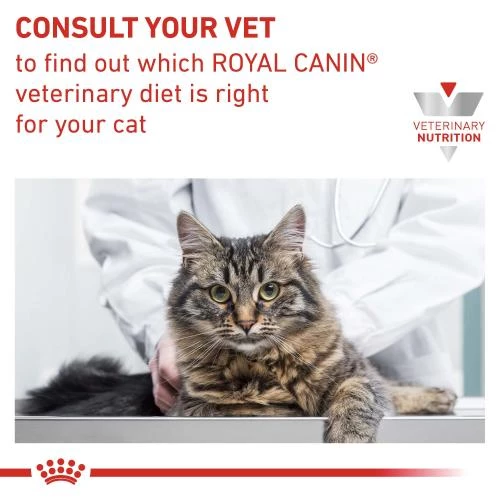 Royal Canin Veterinary Diets Renal In Gravy Cat Food Pouches - Image 4