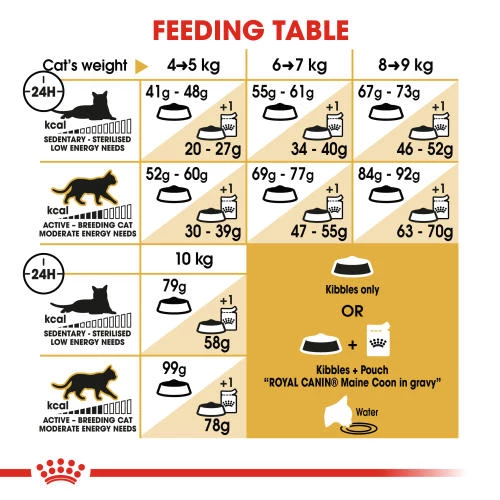 Royal Canin Maine Coon Dry Adult Cat Food - Image 3