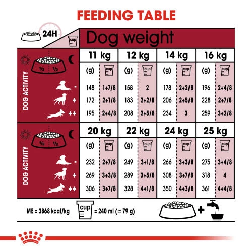 Royal Canin Medium Ageing 10+ Dry Senior Dog Food - Image 4