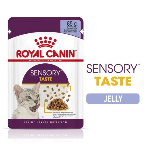 Royal Canin Sensory Taste In Jelly Wet Adult Cat Food - Image 2