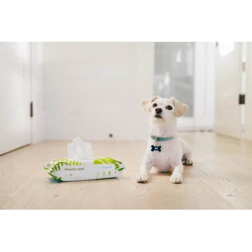 Earth Rated Unscented Compostable Dog Wipes - Image 2