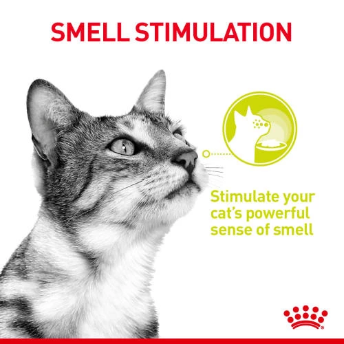Royal Canin Sensory Smell In Gravy Wet Adult Cat Food - Image 3