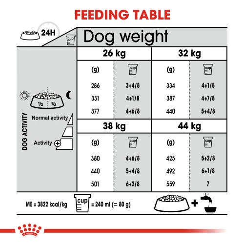 Royal Canin Maxi Dental Care Adult Dry Dog Food - Image 6