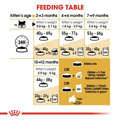 Royal Canin Persian Kitten Dry Cat Food - Image 4