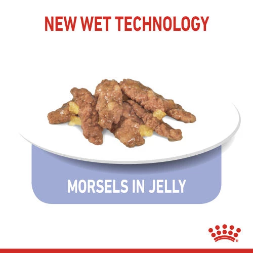 Royal Canin Indoor Sterilised In Jelly Adult Wet Cat Food - Image 4