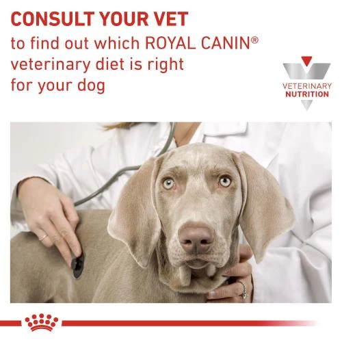 Royal Canin Veterinary Diets Gastrointestinal Dog Food - Image 4