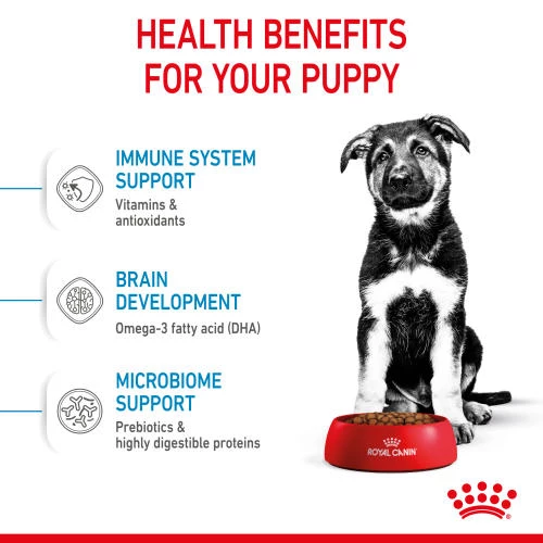 Royal Canin Maxi Puppy Dry Dog Food - Image 3