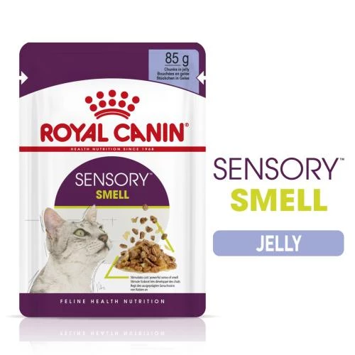 Royal Canin Sensory Smell In Jelly Wet Adult Cat Food - Image 2