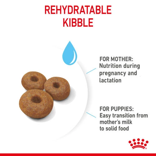 Royal Canin Maxi Starter Mother & Babydog Adult And Puppy Dog Food - Image 7